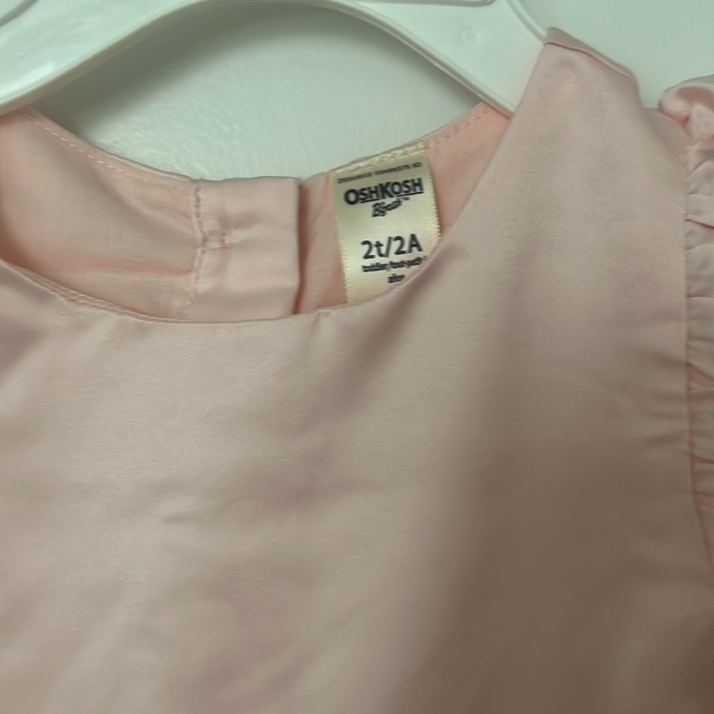 Pink Toddler Flutter Pleated Dress - Picture 4 of 5